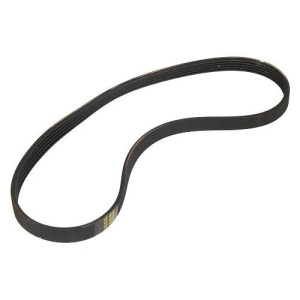 Whirlpool WPW10006384 Genuine OEM Drive Belt Fits: W10006384 W10808317